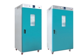 上海申賢立式鼓風(fēng)干燥箱DHG-9620B