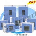 上海一恒鼓風(fēng)干燥箱DHG-9240