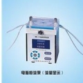 上海嘉鵬電腦數(shù)顯恒流泵DHL-B